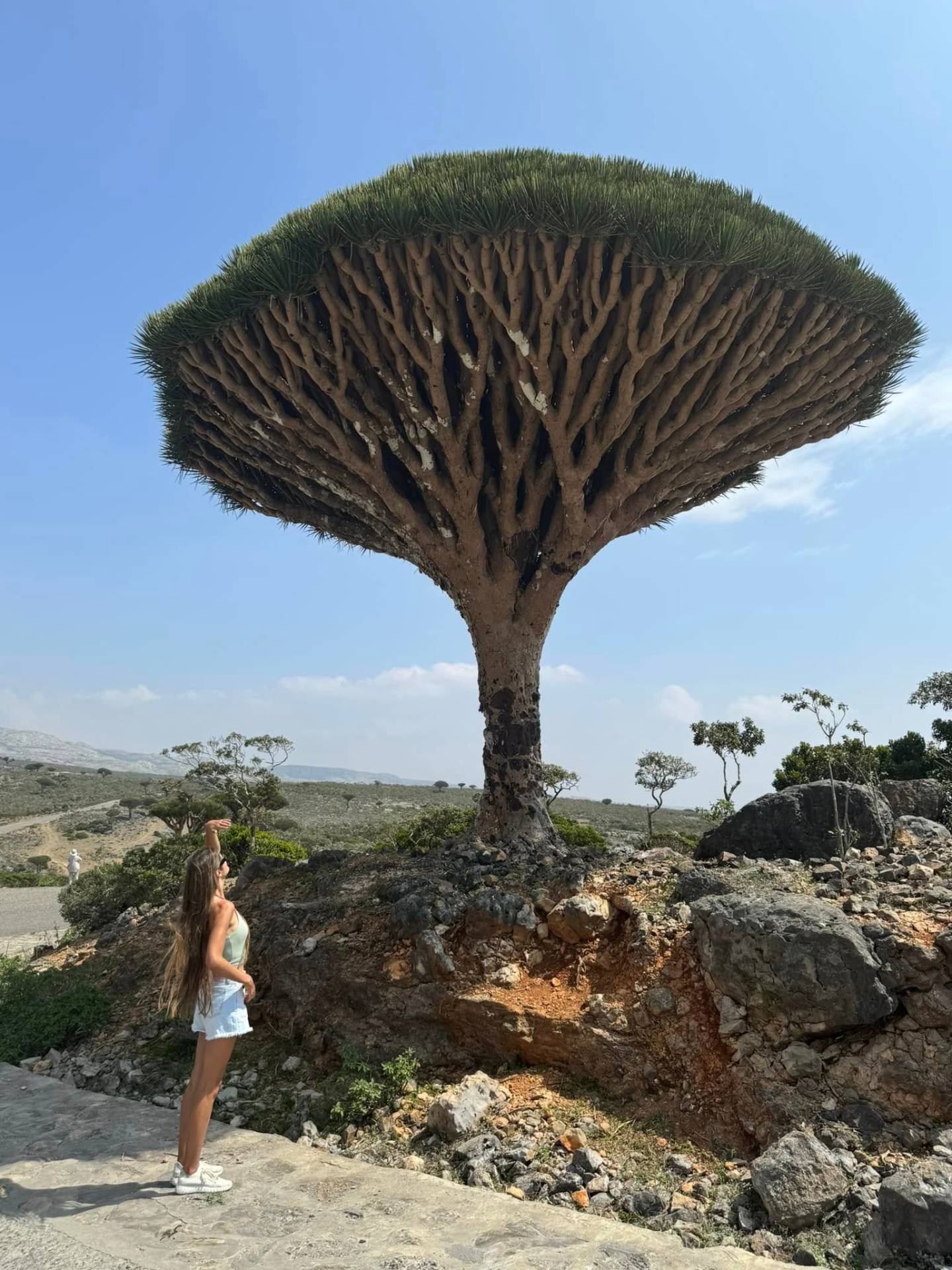 Socotra سُقَطْرْى